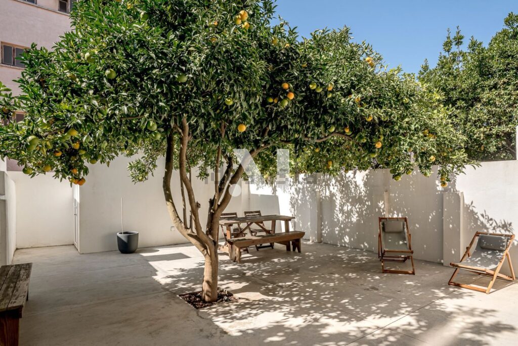 Appartement t2 à vendre – Rua Sampaio Bruno